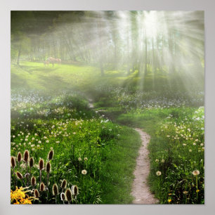 Affiches Meadow Trail