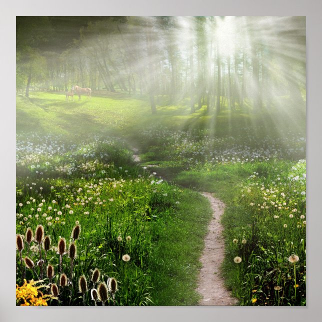 Affiches Meadow Trail (Devant)