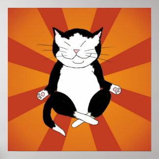 Affiches Méditer l'affiche de Tuxedo Kitty