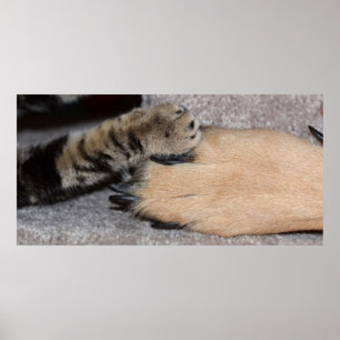 Affiches Meilleurs amis pour toujours par Shirley Taylor