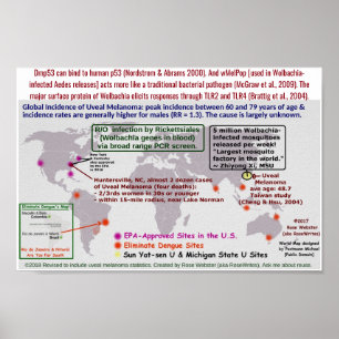 Affiches Mélanome Uveal ? Rickettsiales de R/O (Wolbachia)