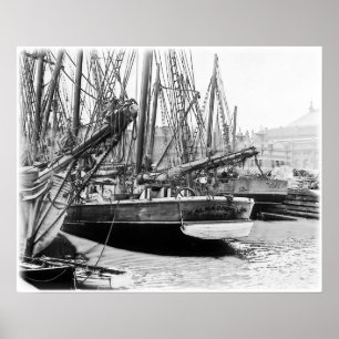 Affiches Melbourne, 1903 :  Alma Doepel