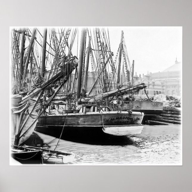 Affiches Melbourne, 1903 : The Alma Doepel (Devant)