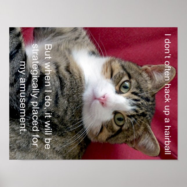 Affiches Mème de chat (Devant)