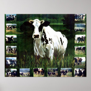 Affiches 'meMOOries'