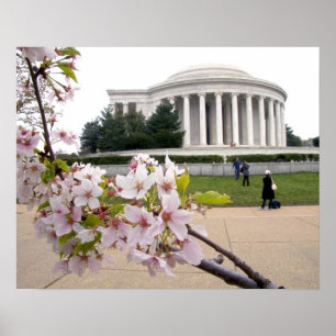 Affiches Mémorial Thomas Jefferson avec cerisiers en fleurs