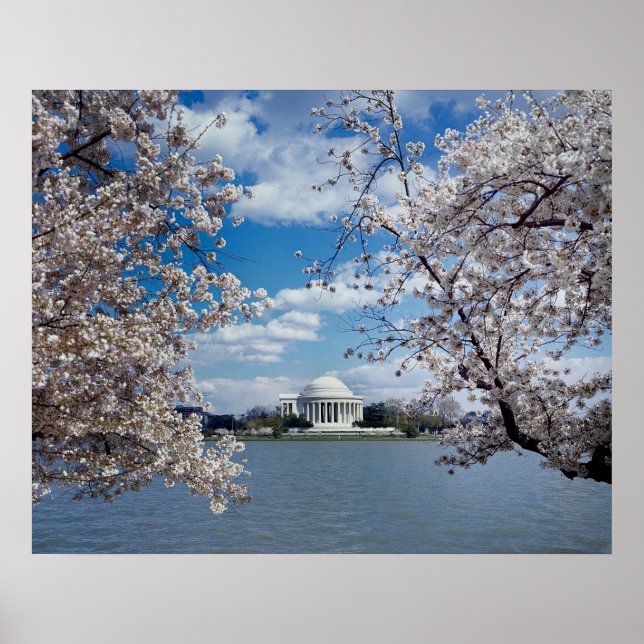 Affiches Mémorial Thomas Jefferson avec des fleurs de ceris (Devant)