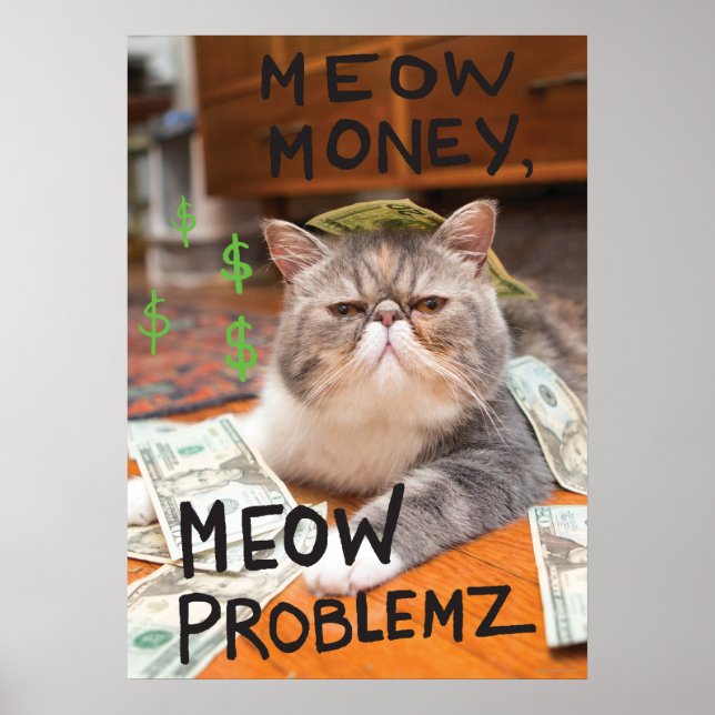Affiches Meow Money, Meow Problemz (Devant)