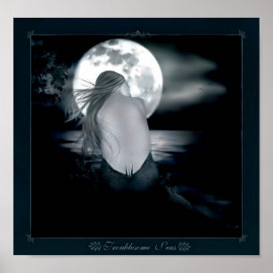 Affiches Mer problématique