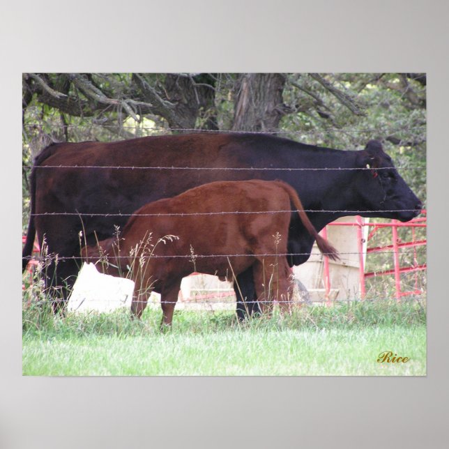 Affiches Mère et enfant (Devant)