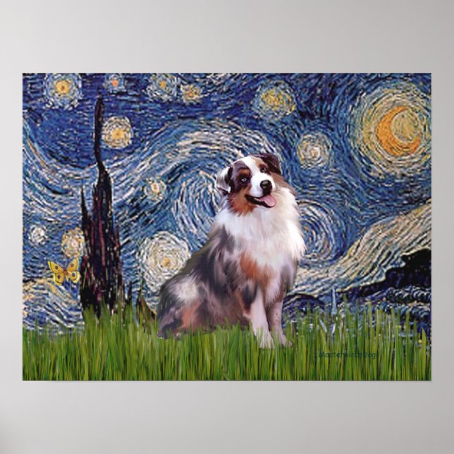 Affiches Merle Aussie Shep - Nuit étoilée (Devant)