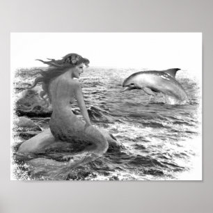 Affiches Mermaid et Dolphin