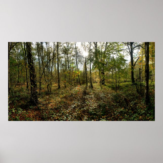 Affiches Mi-automne, (Devant)