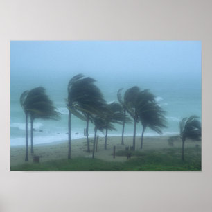 Affiches Miami Beach, Floride, vents d'ouragan fouettant
