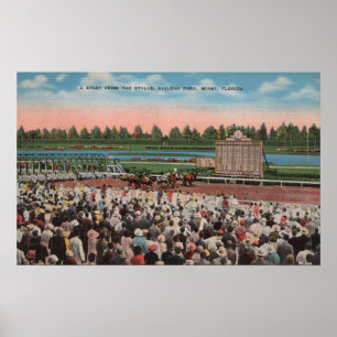 Affiches Miami, FL - vue de parc de Hialeah avec le cheval