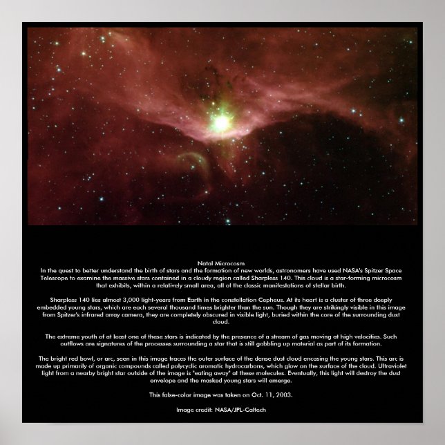 Affiches Microcosme naturel (Devant)