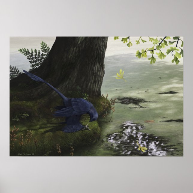 Affiches Microraptor Piscivy (Devant)