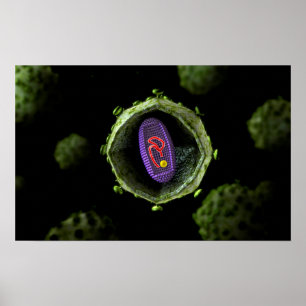Affiches Microscopic View Of HIV Virus, Cross Section