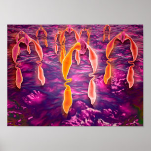 Affiches Microscopic View Of Ligand Binding To A Receptor