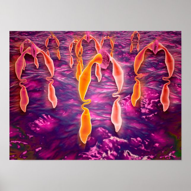 Affiches Microscopic View Of Ligand Binding To A Receptor (Devant)