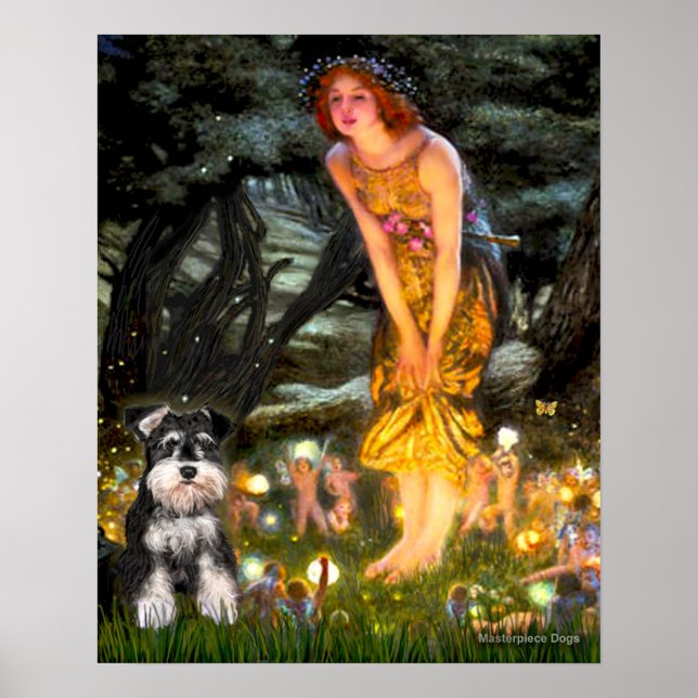 Affiches MidEve - Schnauzer (B) (Devant)