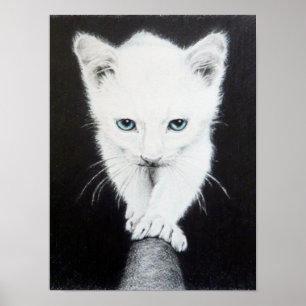 Affiches Mignon petit chaton blanc Dessin d'animal Art pour