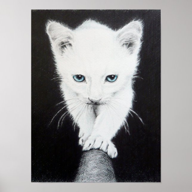 Affiches Mignon petit chaton blanc Dessin d'animal Art pour (Devant)
