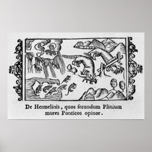 Affiches Migration des lemmings