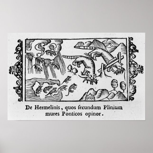 Affiches Migration des lemmings (Devant)