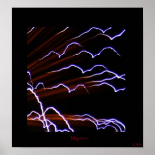 Affiches Migration mentale