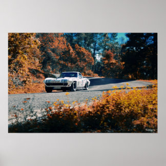 Affiches Mil cumbres dowhill (La course mexicaine)