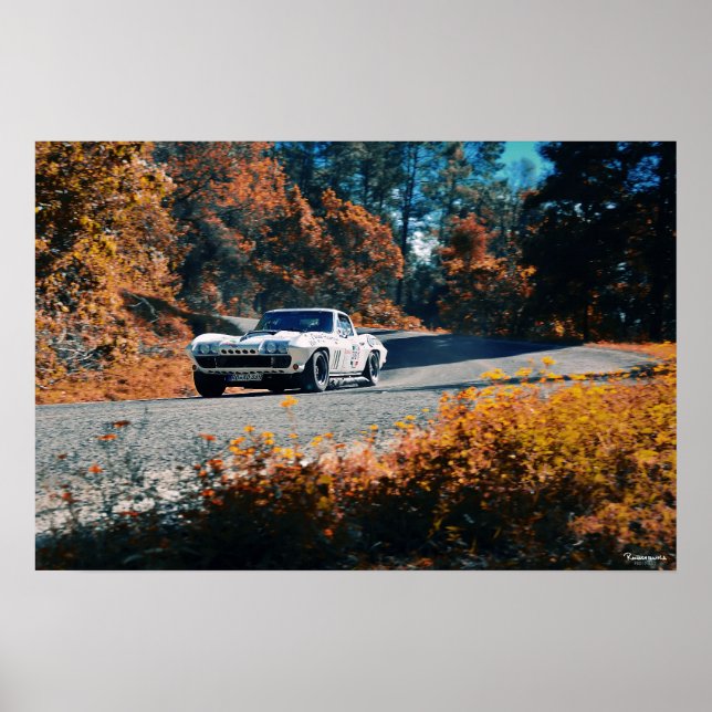 Affiches Mil cumbres dowhill (La course mexicaine) (Devant)