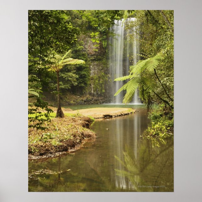 Affiches Millaa Millaa Falls, Atherton Tableland (Devant)