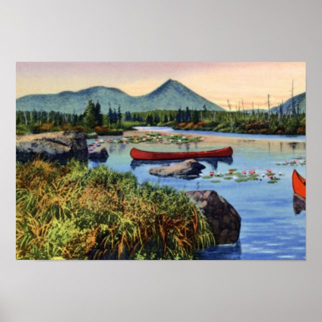 Affiches Millinocket Maine Little Nesowadnehunk Lake Lily P (Devant)