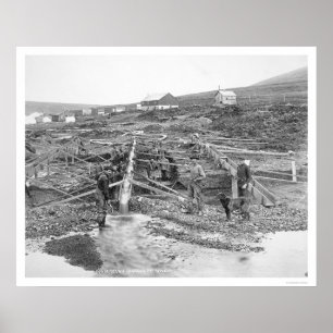 Affiches Mine d'or d'Anvil Creek Alaska 1916