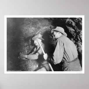 Affiches Mineurs Alaska 1916 de hard rock