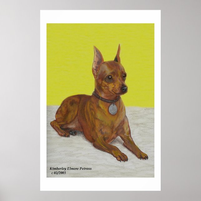 Affiches Miniature de Pinscher (Devant)