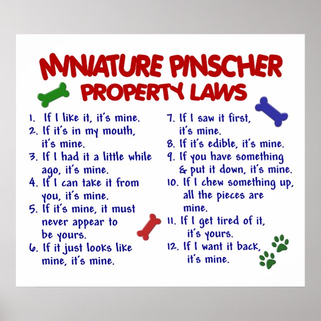 AFFICHES MINIATURE PINSCHER PL2 (Devant)