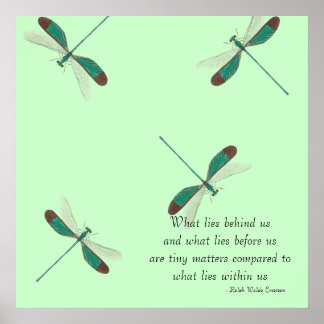 Affiches Mint Dragonflies Ce Qui Se Trouve Derrière Nous