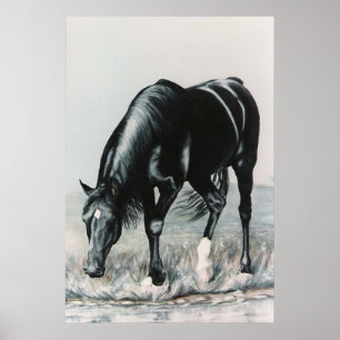 Affiches Miroir, copie de miroir .....