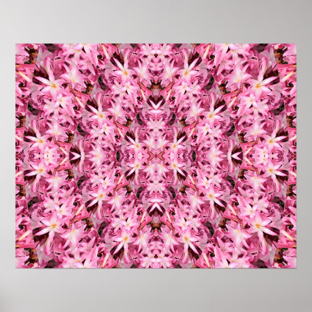 Affiches Miroirs d'Amaryllis.... (Devant)