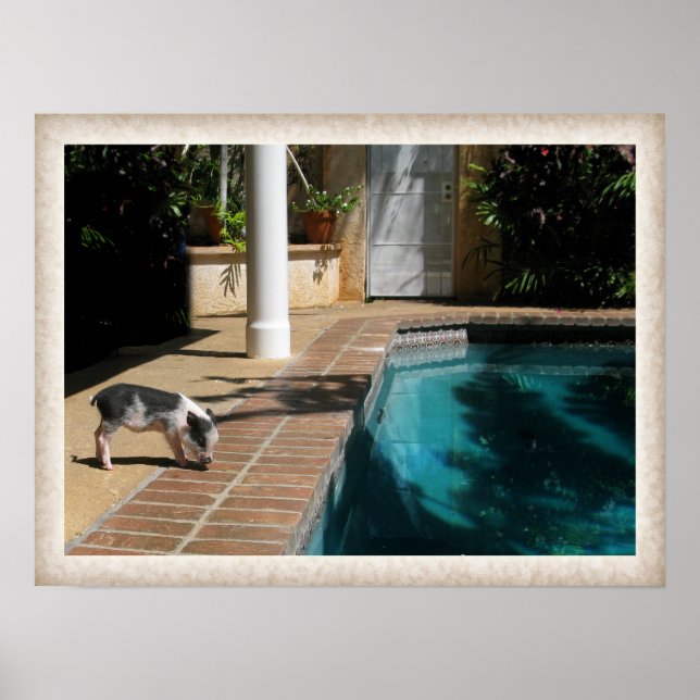 Affiches Miss Piggy au paradis (Devant)