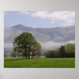 Affiches Misty meadow and Rich Mountain, Cades Cove,