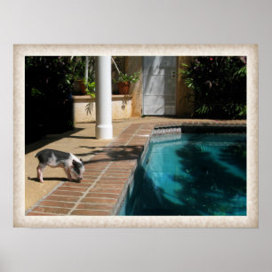 Affiches Mlle Piggy dans le paradis