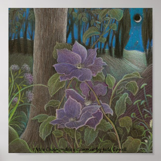 Affiches 'Mme Cholmondeley clematis par Moonlight'