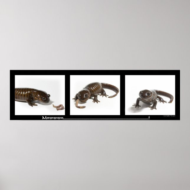 Affiches Mmmmmmmmmmm...........................! (Devant)