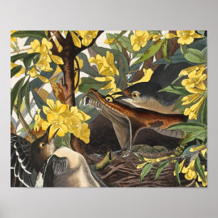 Affiches Mockingbirds, John James Audubon