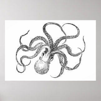 Affiches Modèle Octopus vintage