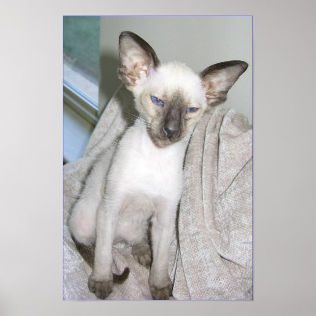 Affiches Mojave le Grand (Devant)