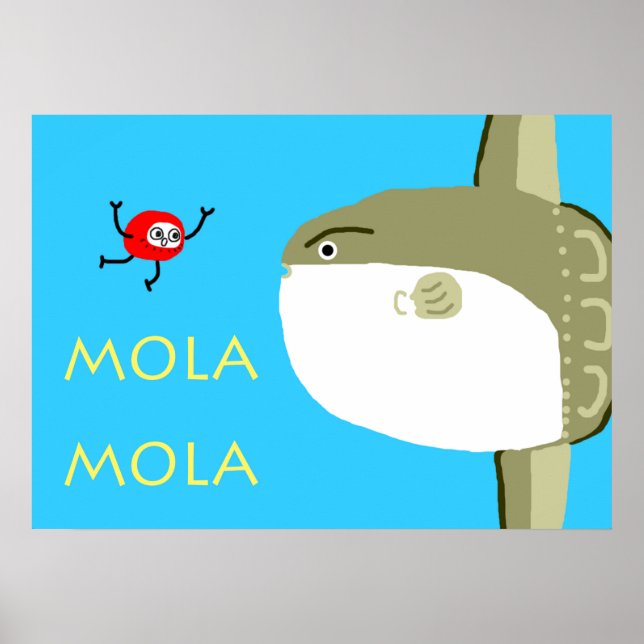 AFFICHES MOLA MOLA (Devant)